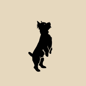 约克郡小猎犬概述米色背景插图