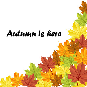 秋季帧与多彩的树叶