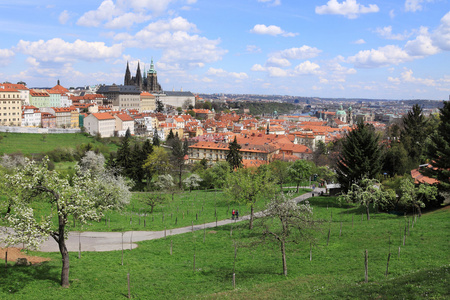 查看关于春天的绿色自然与开花树木，捷克共和国布拉格哥特式城堡