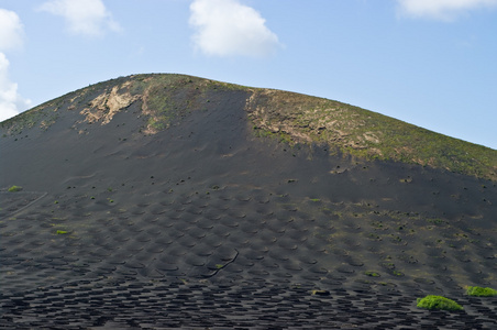 火山葡萄园