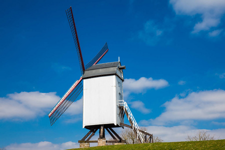 在一个美丽的蓝色冬天的天空下的风车在春天前的历史布鲁日镇