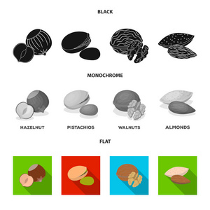 榛子, 开心果, 核桃, 杏仁。不同种类的坚果集合图标在黑色, 平, 单色风格矢量符号股票插画网站