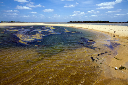 Kokkilai 泻湖斯里兰卡