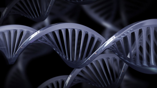 基因组钢绞线图片