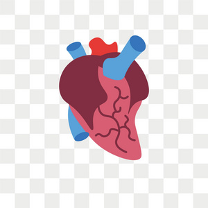 心脏矢量图标隔离在透明背景, 心脏标志