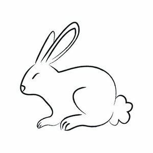 轮廓画兔