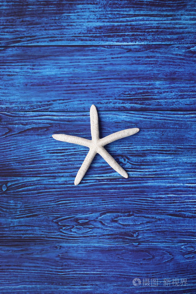 在蓝色背景上关闭海星