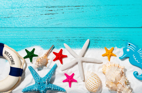 白沙海贝壳海星浮标海马为夏季假期概念