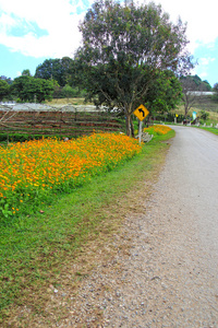 道路曲线与花卉和道路标志