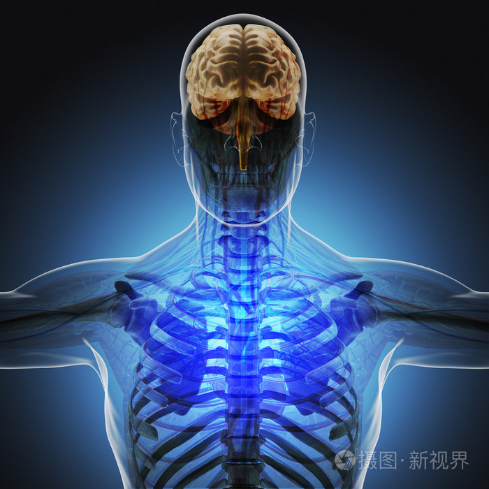 蓝色背景下x射线对人体(器官)的影响. 高分辨率