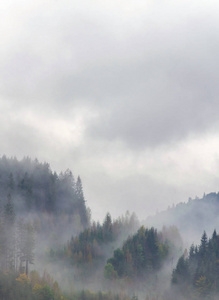 秋季雾中的大兴安岭景观
