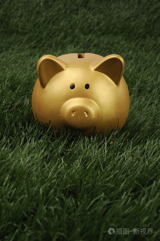 黄金猪存钱罐