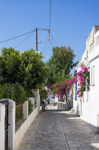 在 Antiparos 岛，希腊基克拉泽斯街