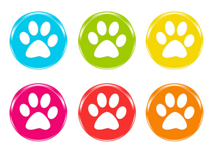 一组与宠物脚印图标照片
