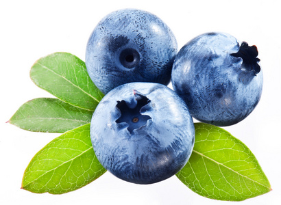 红色白色背景上的蓝莓乳酪蛋糕水彩,蔓越莓,杜松子,蓝莓,老沙棘,沙棘