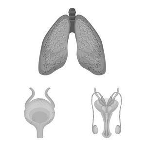人体和人体符号的矢量设计。网络的身体和医疗股票符号集