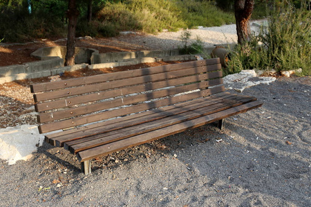 一个长凳站在以色列的一个城市公园里