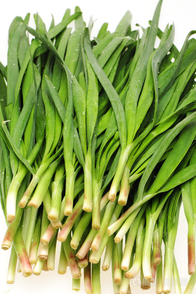 在白色背景上的韭菜
