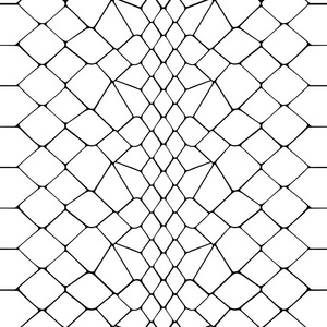 蛇皮黑白无缝图案照片