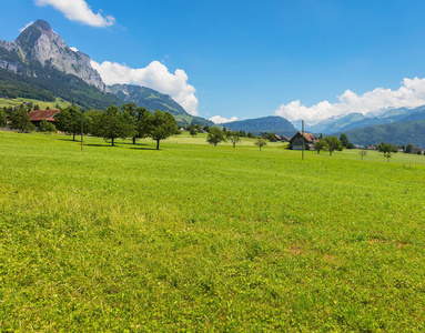 Schwyz 瑞士小行政区 Seewen 村的夏日美景