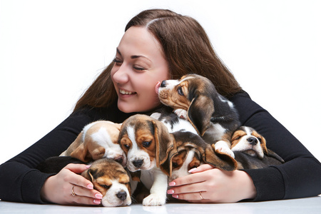 女人和大组的小猎犬小狗