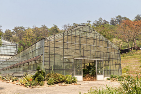 在植物园温室