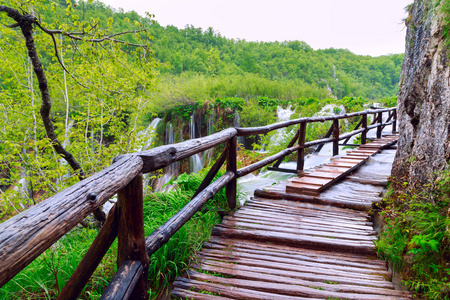 木制旅游路径在十六湖国家公园图片