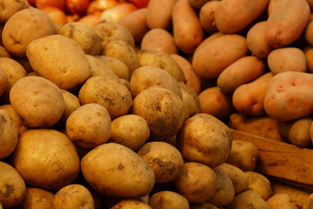马铃薯在堆中的褐营养天然质地