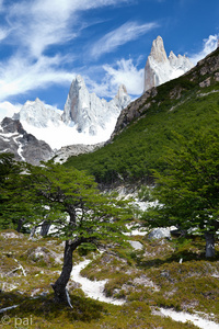 菲茨罗伊山风景 6