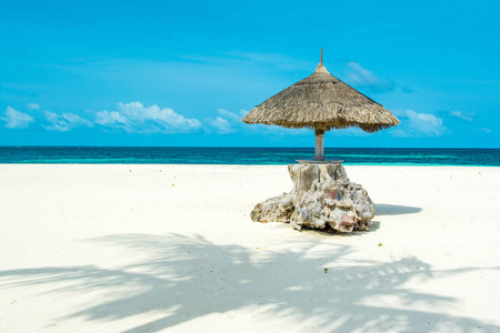在沙滩上一棵老干树的根上的稻草伞, 印度洋, 马尔代夫