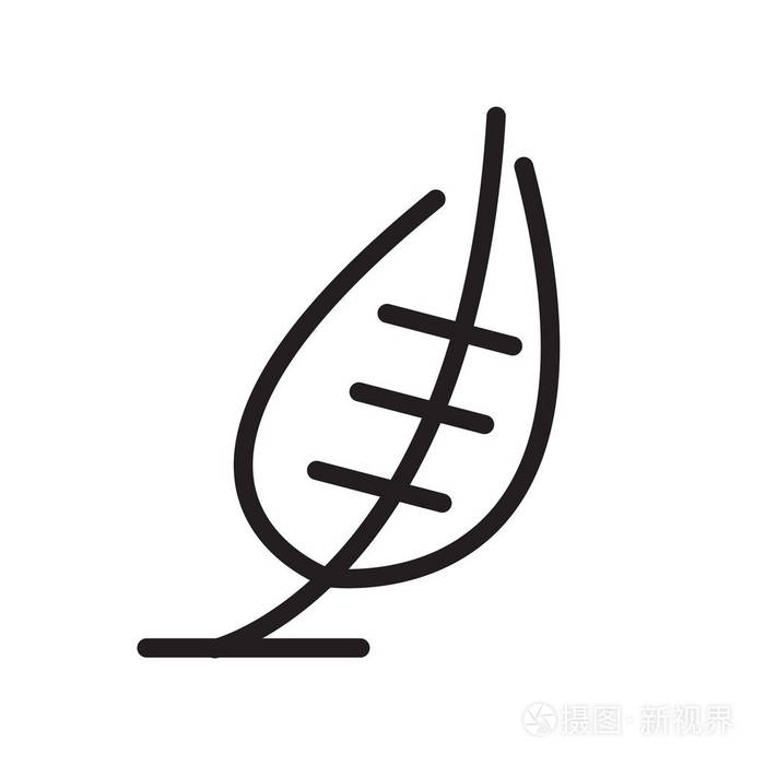 在白色背景,叶子符号,线条上隔离的叶形图标向量插画-正版商用图片0b6