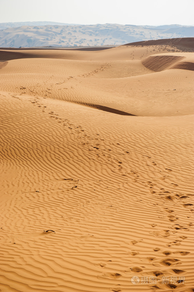 黄色沙漠沙丘和天空
