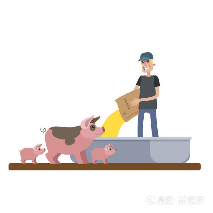 农夫在农场喂猪的微笑的男孩