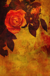 浪漫橙色玫瑰背景