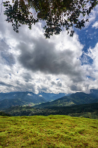 哥伦比亚 Salento 附近一个乡村山谷的肖像视图
