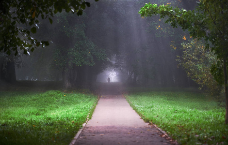 雾中公园里的一个人的剪影