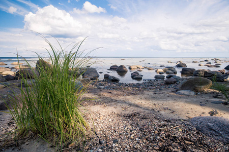 在阳光明媚的夏日, 波罗的海沿岸的大石头