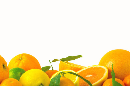 白色衬底上的柑橘属水果