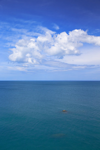 海滩和热带海