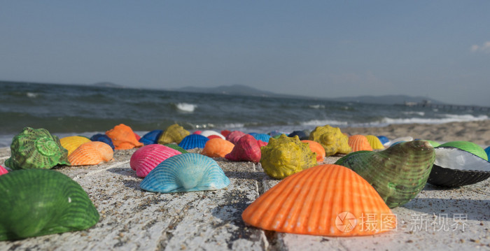 五彩的贝壳在海滩上