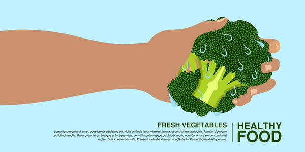 手拿着一花椰菜。健康食品概念