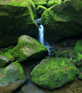 梯级上小山中的小溪，水运行在玄武岩巨石