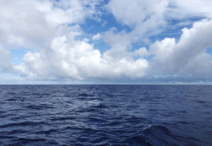 Mauritus 酒店的海滨景观