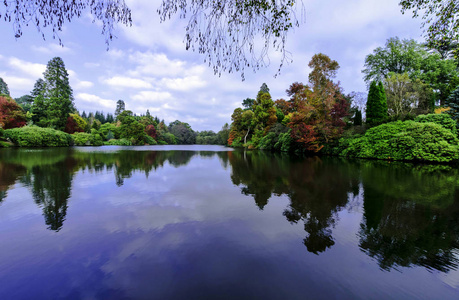 英国秋天与谢菲尔德湖和树在 Uckfield, 东部苏塞克斯, 英国