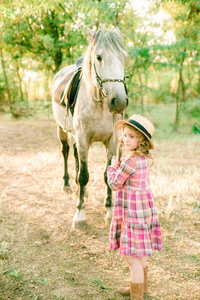 一个漂亮的小女孩, 在老式的格子礼服和草帽和灰色的马, 卷发卷曲的头发。农村生活在秋季。马和人