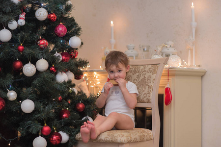 快乐的男孩吃曲奇, 看着相机坐在椅子下的圣诞树在家中