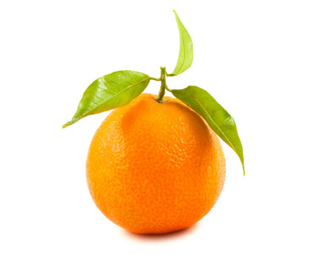 成熟橘