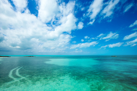 海滩和热带海