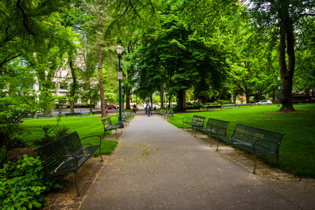 沿着人行道在俄勒冈州的波特兰市中心的公园长椅