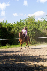 年轻小女孩微笑着棕色的马，在培训领域